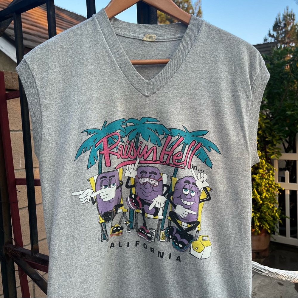 Vintage 80s Raisin Hell in California Raisins Parody Graphic T-Shirt